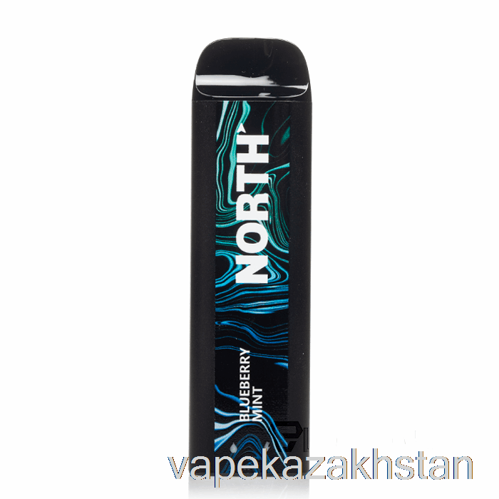 Vape Kazakhstan North 5000 Disposable Blueberry Mint